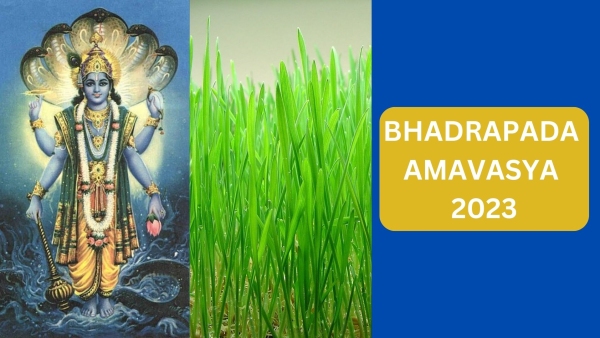 Bhadrapada Amavasya 2023: Kush Todne Ka Niyam, Mantra, Significance Of Kushotpatini Amavasya