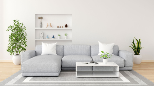 7 Tips To Select The Right Sofa Colour For Your Living Room