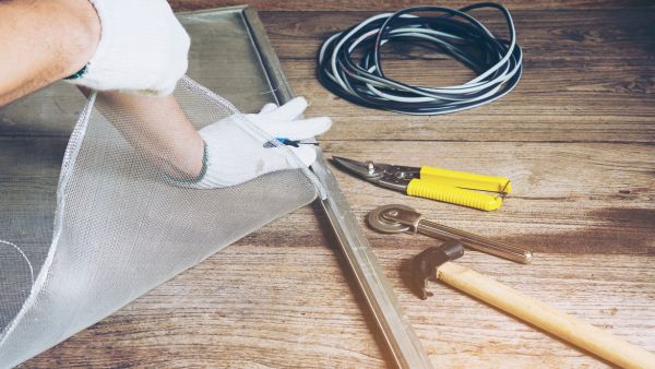 Do You Have Dengue Or Severe Dengue?