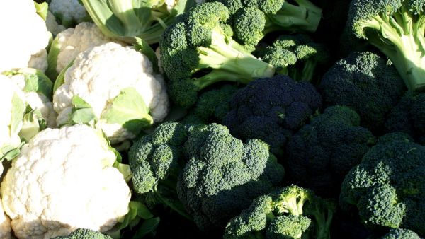 Benefits Of Green Cauliflower Benefits Of Green Cauliflower