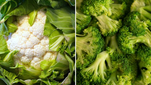 Benefits Of Green Cauliflower Benefits Of Green Cauliflower