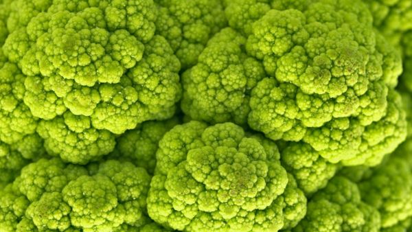 Benefits Of Green Cauliflower Benefits Of Green Cauliflower
