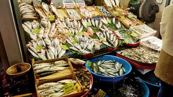 How To Check Fish Freshness?