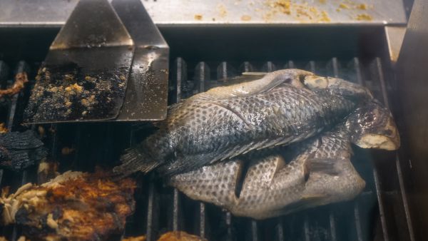 How To Check Fish Freshness?