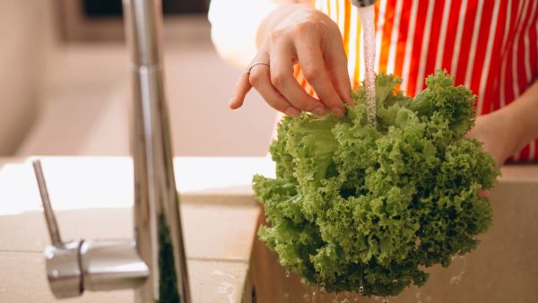How To Keep Lettuce Fresh?