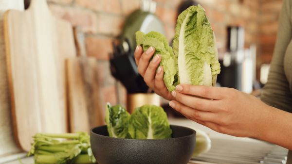 How To Keep Lettuce Fresh?