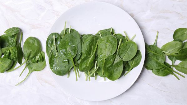 How To Keep Spinach (Palak) Leaves Fresh