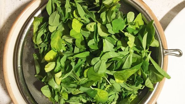How To Keep Methi Leaves Fresh?