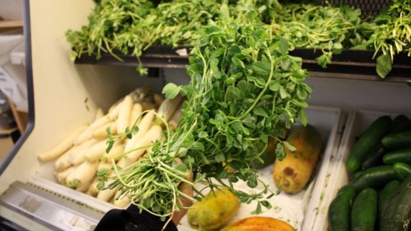 How To Keep Methi Leaves Fresh?