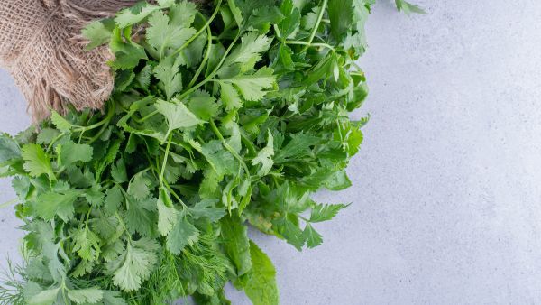 How To Keep Coriander Leaves Fresh?