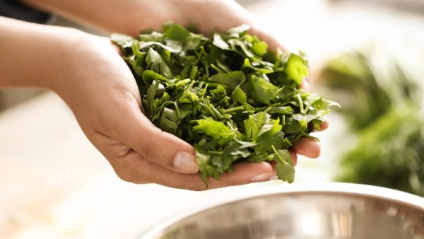 How To Keep Coriander Leaves Fresh?