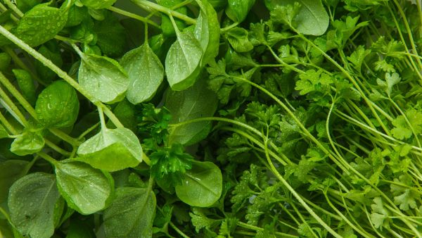 Mental Health With 5 Foods