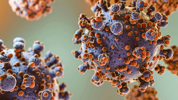 Nipah Virus Alert In Kerala