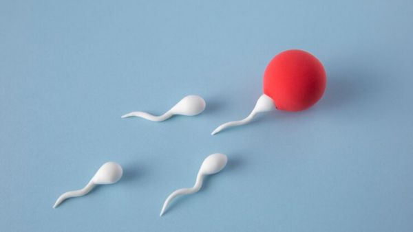 Ayurvedic Herbs in Boosting Fertility