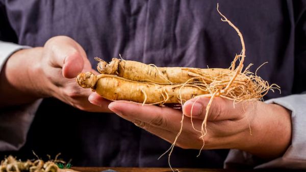 Ayurvedic Herbs in Boosting Fertility