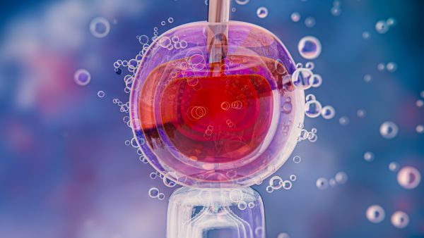 FET (Frozen Embryo Transfer) FET (Frozen Embryo Transfer)