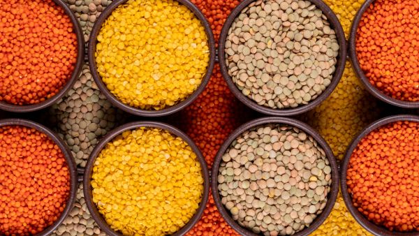 Weight Loss: 5 Foods You Must Eat