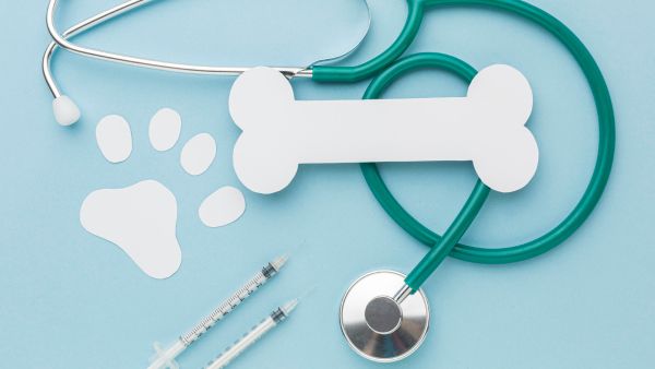 Early Signs And Symptoms Of Rabies