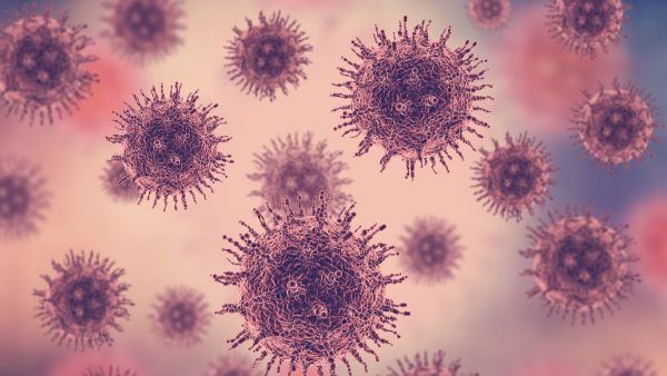 What Is Disease X? 20 Times More Deadly