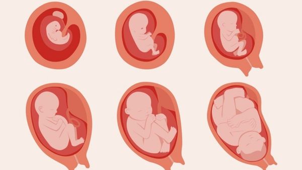 Risks Of Terminating Advanced Pregnancy