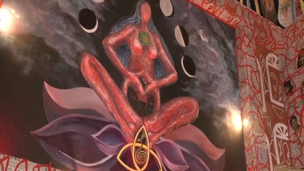 Durga Puja 2023: Kolkatas Durga Puja Pandal Uses Menstrual Hygiene Theme 