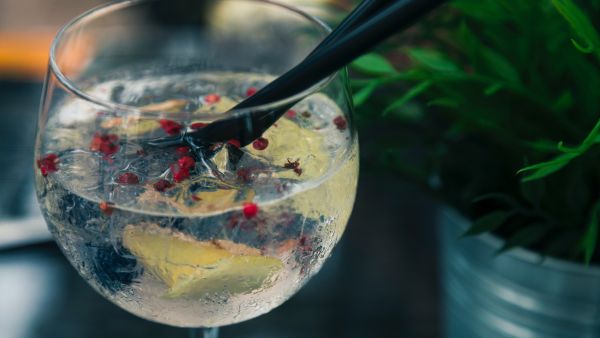 Interesting Benefits Of Gin