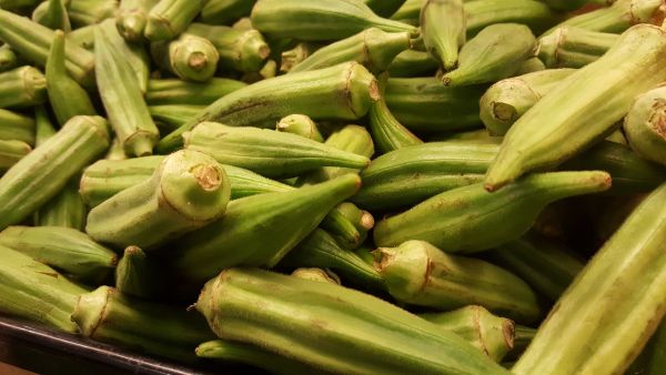 Benefits Of Eating Okra/Lady Finger Benefits Of Eating Okra/Lady Finger