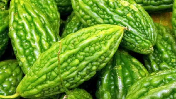Benefits Of Bitter Gourd For Dengue
