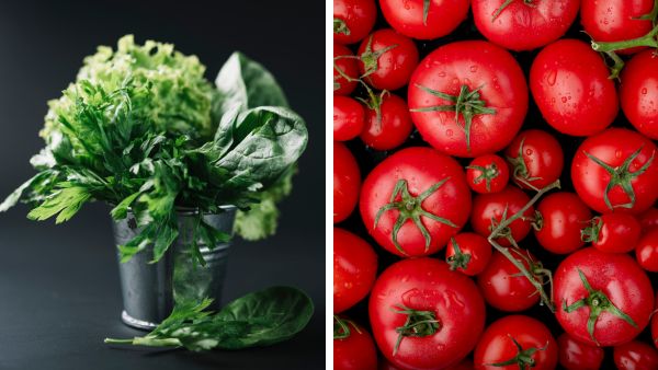 10 Best Cancer-Fighting Foods 10 Best Cancer-Fighting Foods