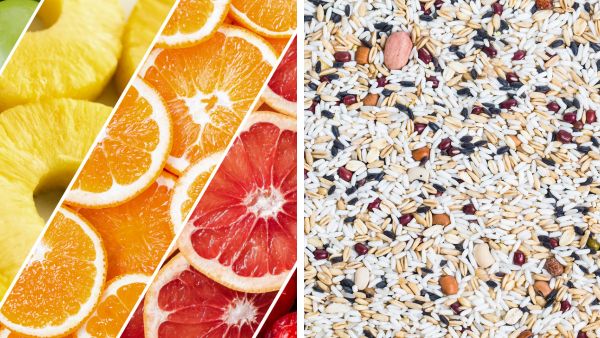 10 Best Cancer-Fighting Foods 10 Best Cancer-Fighting Foods