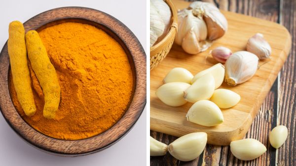 10 Best Cancer-Fighting Foods 10 Best Cancer-Fighting Foods