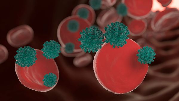 Can Eating These Foods Trigger Tumour? Can Eating These Foods Trigger Tumour?