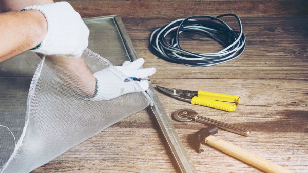 Infant Care During Dengue Fever