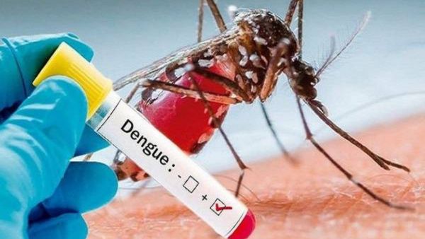 Is Dengue Fever Contagious?