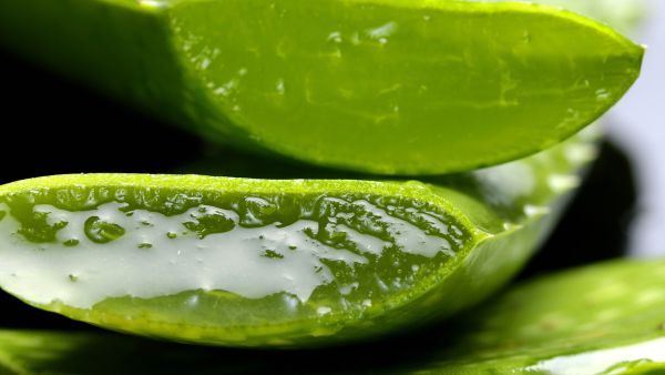 Lighten Up Your Inner Thighs Naturally