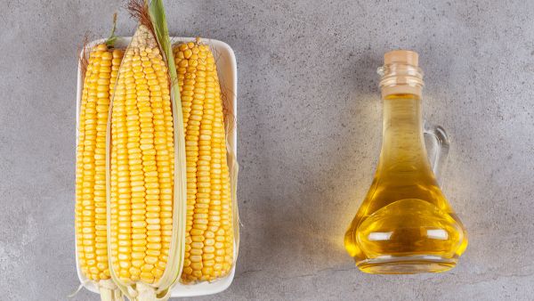 Foods That Trigger Pancreatitis In Kids