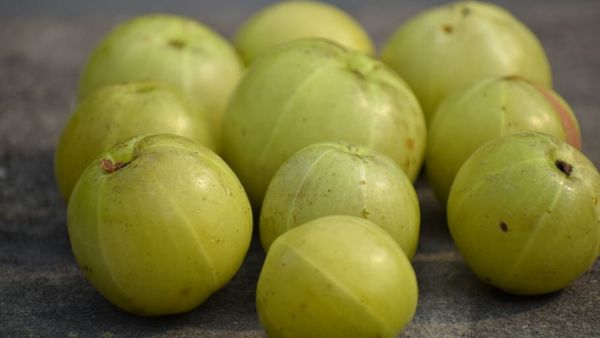 Indian Herbs & Spices For Cancer