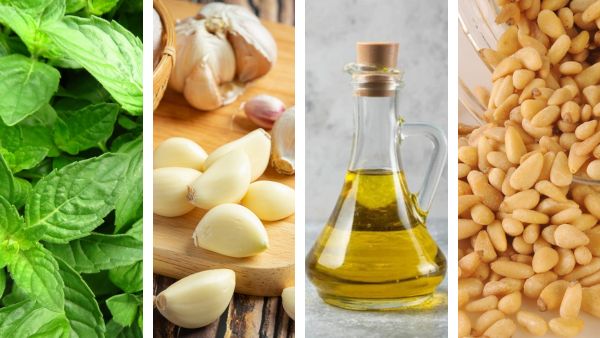 Woman Paralyzed From Eating Pesto Sauce Woman Paralyzed From Eating Pesto Sauce