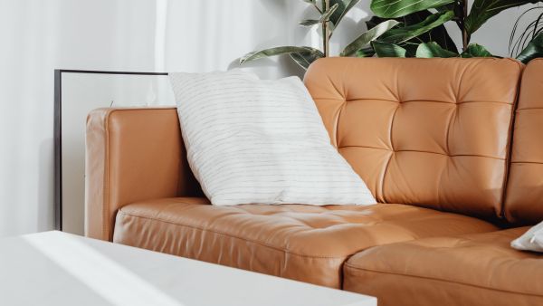 3 Super Bizarre Uses For Eggs