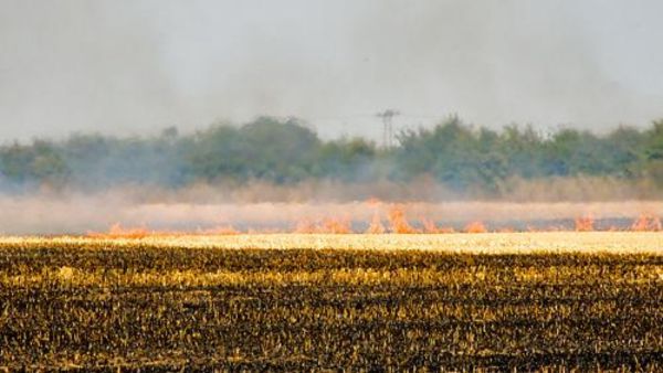 Delhi Air Quality To Worsen