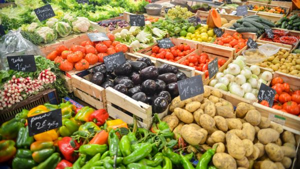 Vegetable Contamination in Bangalore Vegetable Contamination in Bangalore