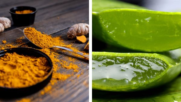 Remedy To Get Rid Of Pimple Marks Remedy To Get Rid Of Pimple Marks