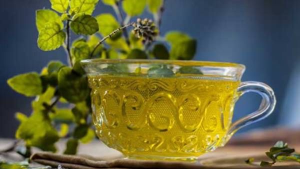 Can Tulsi Reduce Dengue Fever?