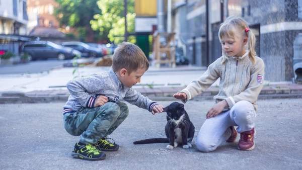 Importance Of Educating Children About How To Interact With Dogs Responsibly And Safely