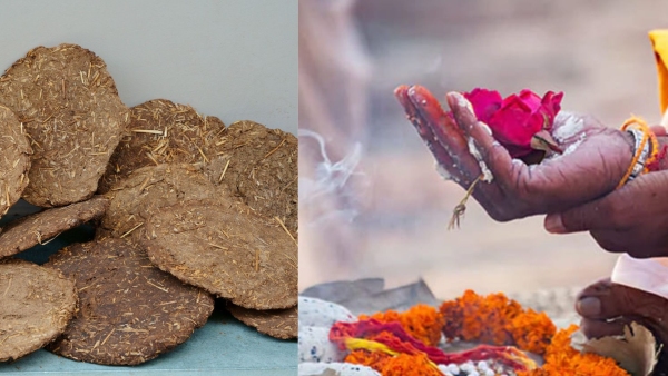 Pitru Paksha 2023 Cow Dung Remedy Pitru Paksha 2023 Cow Dung Remedy