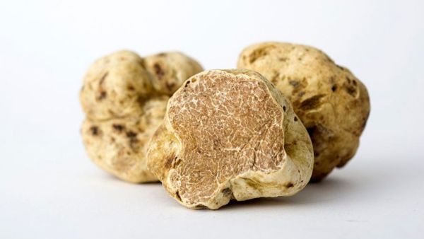 Most Expensive Foods In World