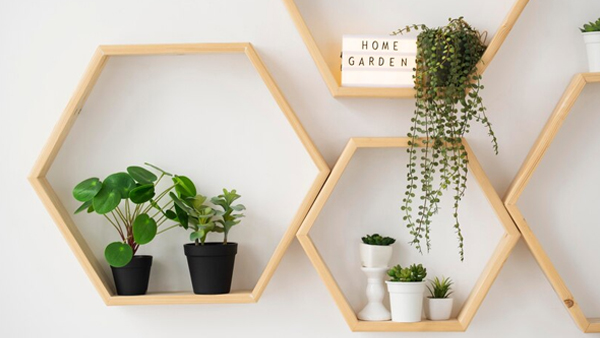 Elevate Your Home: 10 Biophilic Design Tips for A Nature-Inspired Living Experience