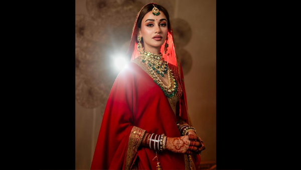 Billionaire Banker Uday Kotaks Son Jay Kotak Marries Ex-Miss India Aditi Arya, Couple Exudes Royal Elegance!