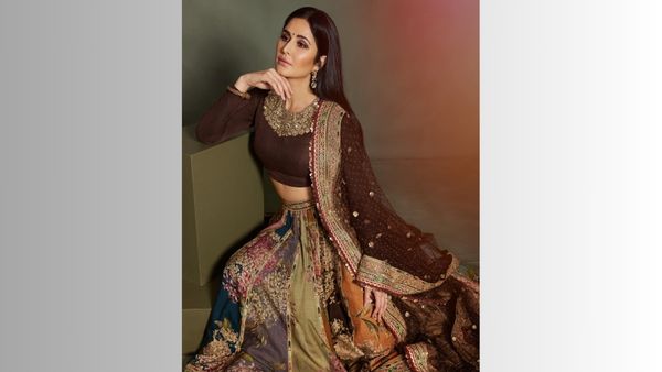 Panelled Lehenga