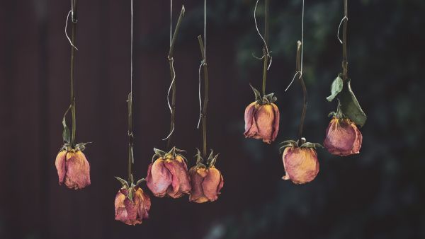 Ways To Keep Bathrooms Smelling Fresh